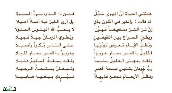 محمد مصطفي حمام Hashtag On Twitter