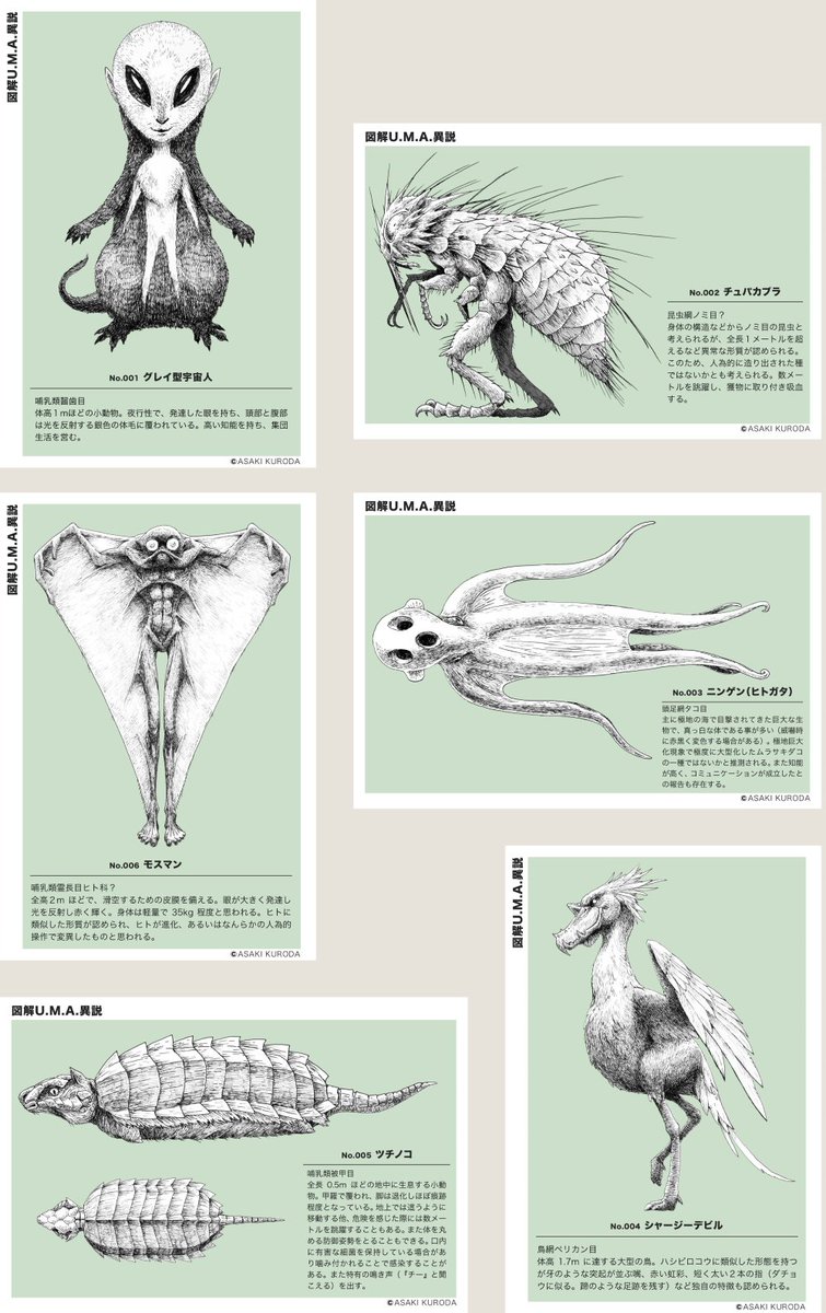 ★再度、値下げしました!★ 黒田哲二 白い菊の絵 額装 送料無料! 先日のUMA展で販売したポストカード、若干数ですが下記で通販し