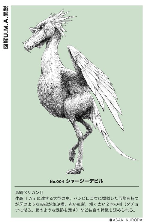☆再度、値下げしました！☆ 黒田哲二 白い菊の絵 額装 送料無料
