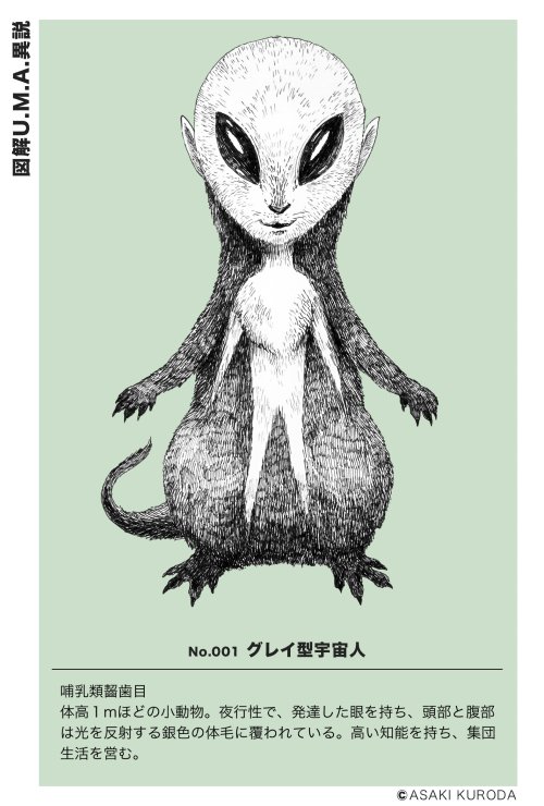 ★再度、値下げしました!★ 黒田哲二 白い菊の絵 額装 送料無料! 先日のUMA展で販売したポストカード、若干数ですが下記で通販し