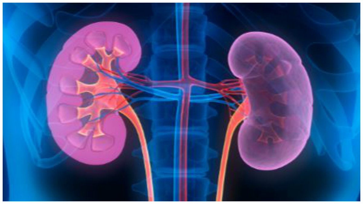 mycurehospitals's tweet photo. Find out the #Causes, #Symptoms and #Prevention of #Kidney #Diseases
To know more: https://t.co/ouOPsPi8Ke
#MyCureHospitals #MyCure #Nephrology #Health #HealthCheck #BestKidneyHospitals #NephrologyHospitals #ConsultExpert #Consultourdoctors
#ViZag https://t.co/vng36jm90w