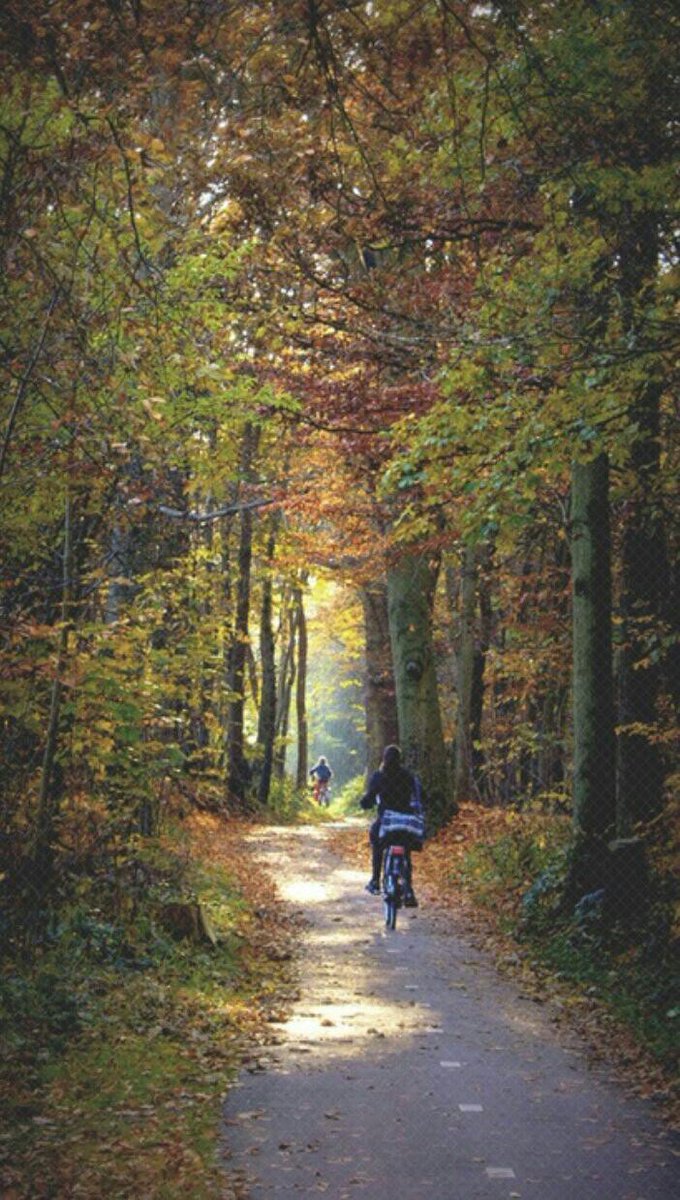 아무리어두운길이라도
나 이전에
누군가는
이길을지났을것이고,
아무리가파른길이라도
나 이전에
누군가는
이길을통과했을것이다.
아무도걸어 가
본적이없는
그런길은없다.
나의어두운시기가
비슷한여행을하는
모든사랑하는사람들에게
도움을줄수있기를...
계속오르기만하는
길은없다.
「베드로시안」