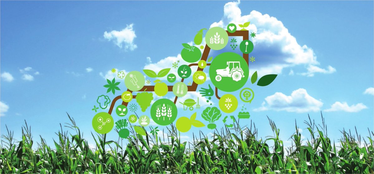 briandcolwell's tweet photo. What is #Agtech? https://t.co/Qi3wBAVNf5 @agfunder #agritech #agri #tech #agriculture #technology #farming #innovation #farming #grains https://t.co/sTUrrggTyk