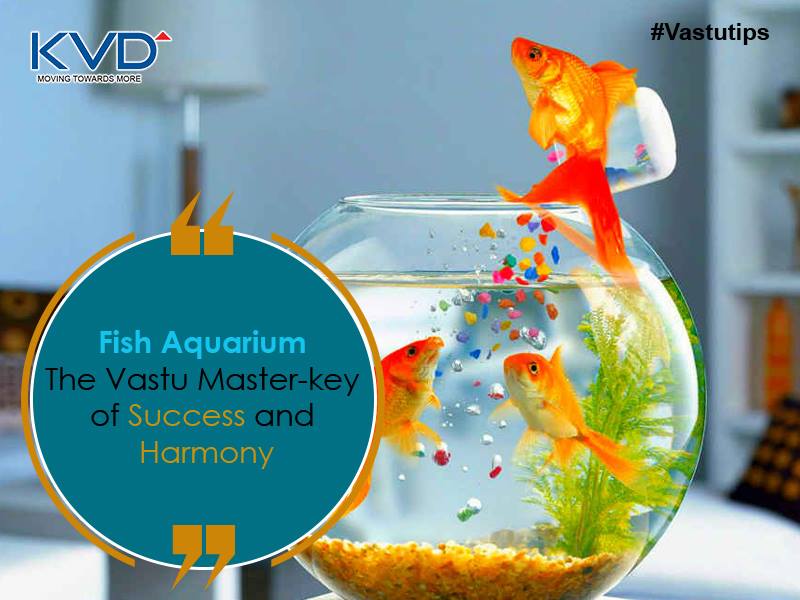 kvdevelopers's tweet photo. #KVD_VastuTips: Keep A #FishAquarium & you'll be Rich,
As Beautiful Fishes attract, Good Luck & Bliss !!!
#KVDWindPark #GreaterNoidaWest offering #BestLocation #2_3_BHK_Flats starts #31Lacs* & #SuperStructureReady #PossessionSoon.
Call Toll free- 1800-200-1707 or visit website. https://t.co/aBmEqTRNLM