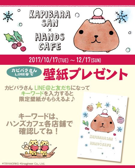 これまでで最高のカピバラ さん 壁紙 すべての美しい花の画像