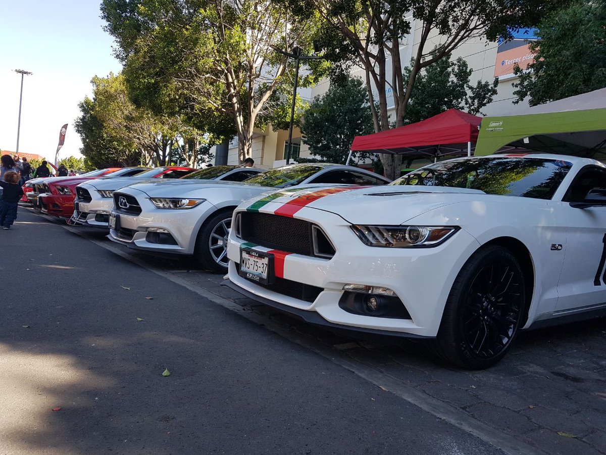 KingOfTheRoadV's tweet photo. Pura belleza #MustangFest 2017
#EstampidaMustang
@ANCM_Mx
@FordMX https://t.co/pheQdNGb0b