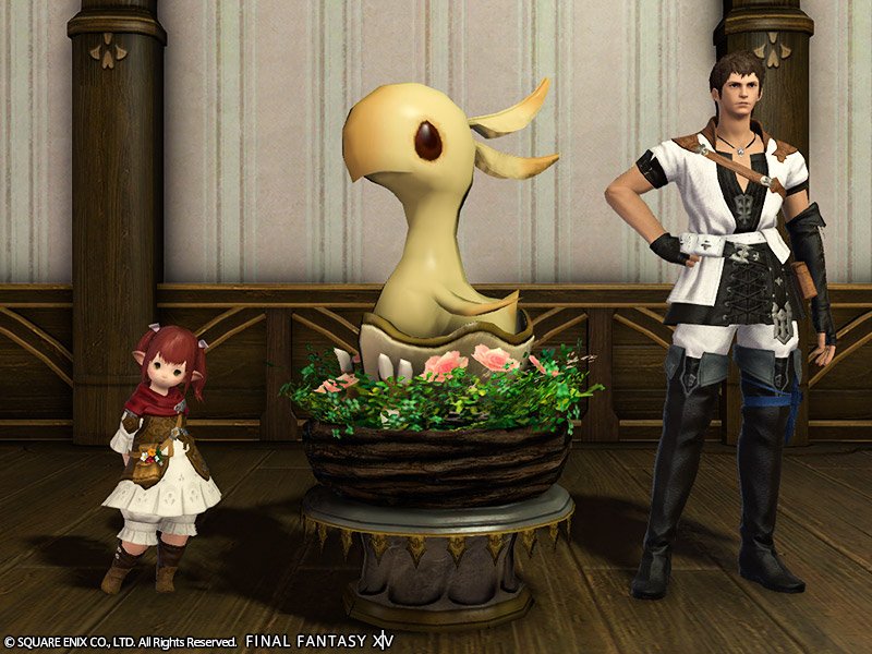 xiv trivia and fun