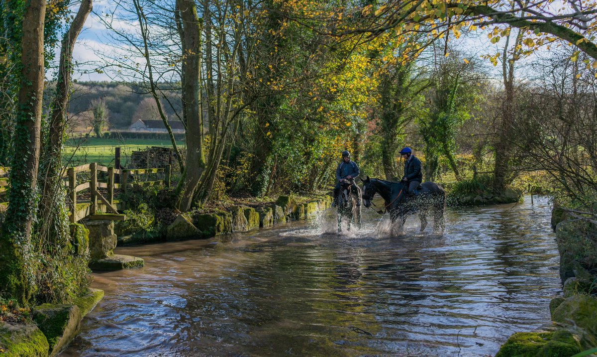 Splish splash... #wexmondays #fsprintmonday #riverwylye #horses #havingfun #wiltshire #kingstondeverill #panorama #timeforwiltshire