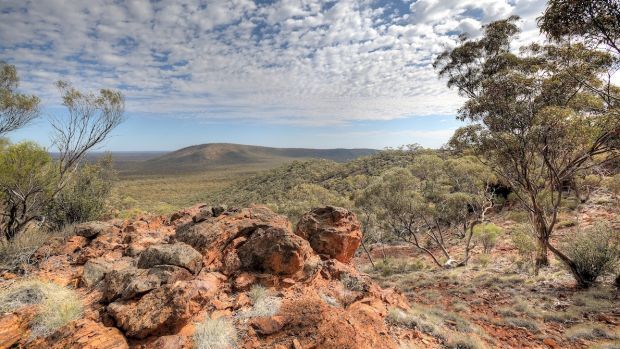 'The Helena & Aurora Range Science Declaration was released by Emeritus Prof John Bailey, Dr Carmen Lawrence and over 50 other leading scientists in the fields of biology, health & geology - backing the EPA's calls to turn the range into a National Park' buff.ly/2iTQsGY