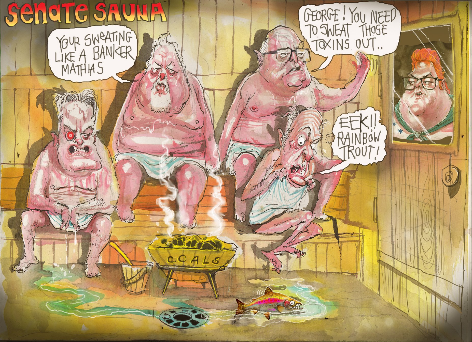Financial Review On Twitter Senate Sauna Roweafr S Latest Cartoon For More Https T Co K6n0sdgce7 Auspol