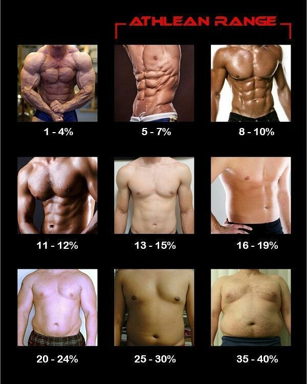 MuscleHabbit's tweet image. Which are you 
@MuscleHabbit 
Follow like comment 
#fit #fitnessaddict #fitness
#fitnessaddict