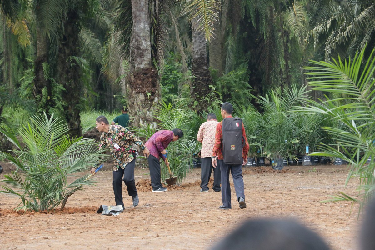atr_bpn's tweet photo. Menteri ATR/Ka BPN ikut menanam sawit dalam rangka program peremajaan sawit di Desa Kota Tengah, Kab Serdang Bedagai, Senin (27/11) https://t.co/yeTlstohJc