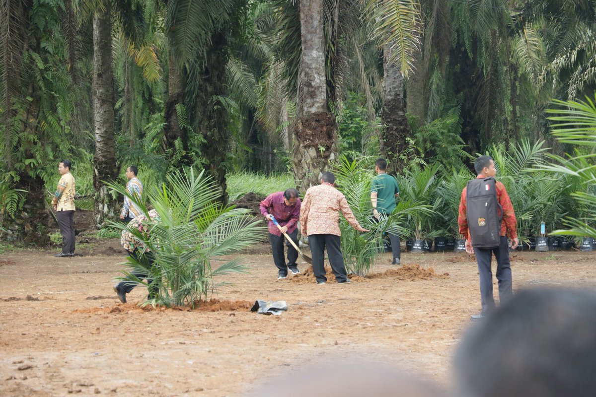 atr_bpn's tweet photo. Menteri ATR/Ka BPN ikut menanam sawit dalam rangka program peremajaan sawit di Desa Kota Tengah, Kab Serdang Bedagai, Senin (27/11) https://t.co/yeTlstohJc