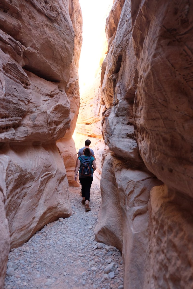 di_cicco's tweet photo. Team @d2si #valleyoffire #nevada #reinvent 😃🤟 https://t.co/XemQtiHwxW