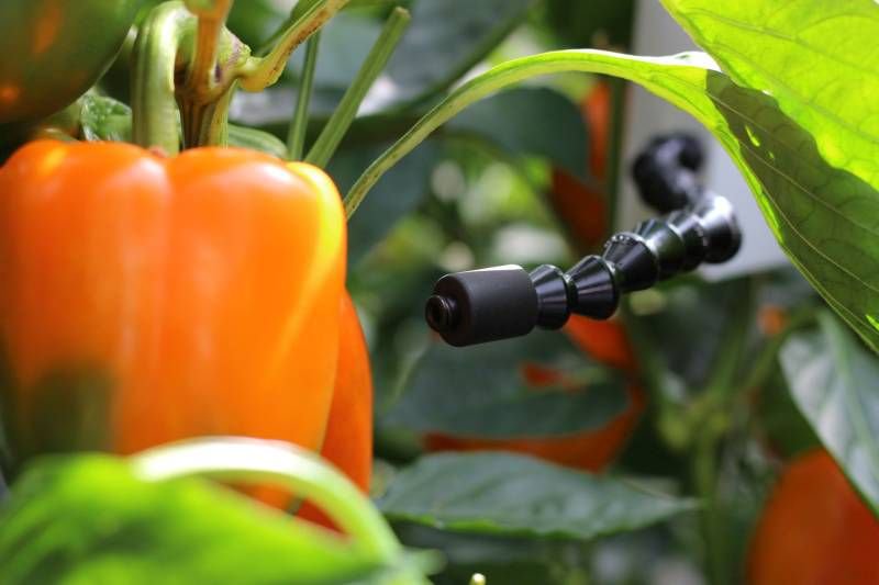 AgFunder's tweet photo. Data from new smart sensors can help growers drive yields and cut costs https://t.co/rSNwkN9vzA https://t.co/6enUp16Opc
