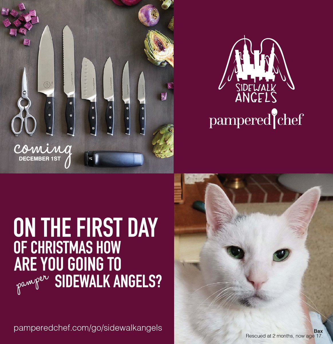 crystalsatierf's tweet photo. It's that time of year again! Get ready. December 1st. 
12 Day of Christmas shopping coming your way to support our favorite @sidewalkangels @ThisIsRobThomas #pamperedchef #sidewalkangels #spilledpepper https://t.co/uyHQS8SqQA