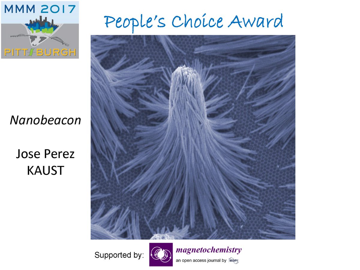 IEEEMagSoc's tweet photo. #MMM62 Big Congrats to our WINNER of People’s Choice Award for the Magnetism as Art Showcase. This artwork is named Nanobeacon, and the author is Jose Perez from KAUST.
Also a big thank to our supporter, the Magnetochemistry Journal!
More can be found at: https://t.co/3Yz8s1JGru https://t.co/rM3KlIIA1p