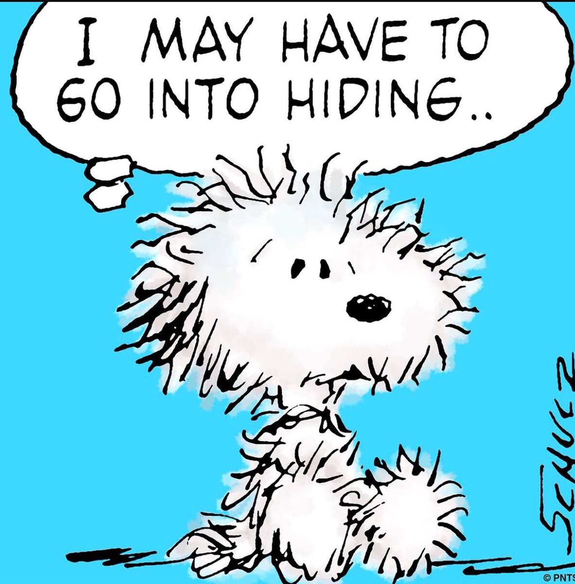 dr_schlaven's tweet photo. somewhat frazzled by a pretty full on week at several levels and then a Stampeders Grey Cup last minute loss :: good time to hide for a day, my regular Monday down space :: see ‘ya on the Tuesday side #RuisRhythmsOfRest https://t.co/TTNeoR3DPy