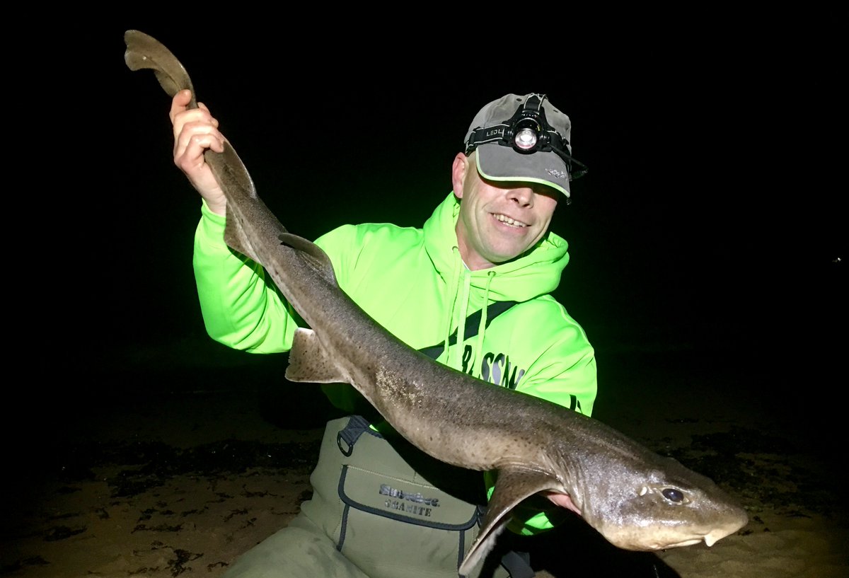 TronixFishing's tweet photo. A nice bull huss of 10lb 8oz for Paul Gordon on his #tronixpro Blastron TT rod >> https://t.co/q6Fdec34Ml https://t.co/Z1xG6INmJm