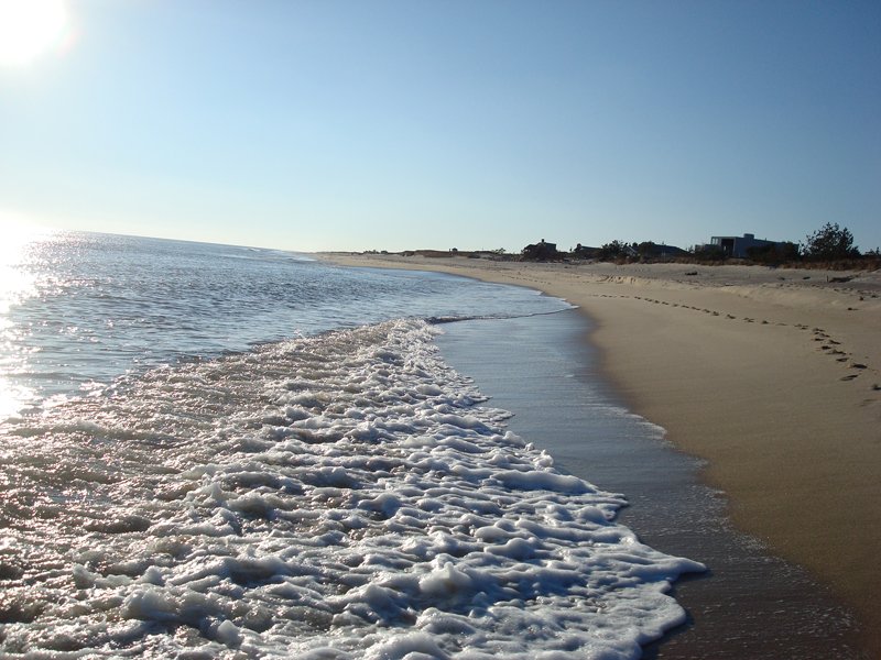 KatherineCHE's tweet photo. What a beautiful day to be #InTheHamptons #Hamptons I just LOVED the forecast calling for an "Abundance of sun" :D #sun #sunshine #beach #beachlife #SunLover #OceansOfLove 
https://t.co/NyM51Dmb9I #IndieMusic #PopMusic #IndiePop https://t.co/2iCKFhJrxc