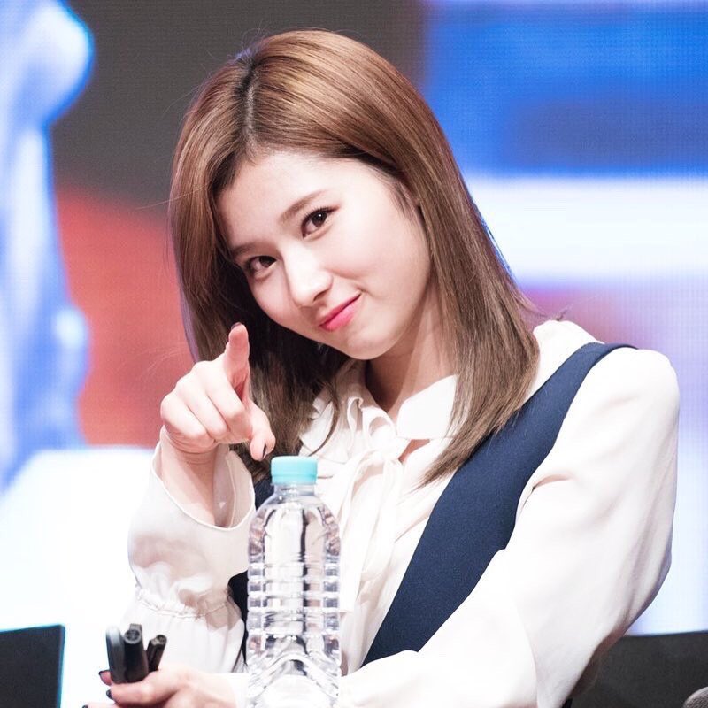 _twice_sanalove's tweet photo. サナのセンイルまでに1229いいね集めたいです💕
#onceさんでRTした人全員フォローする 
#とにかく可愛い湊崎 
#サナペンRT https://t.co/Wj146Ejtrm