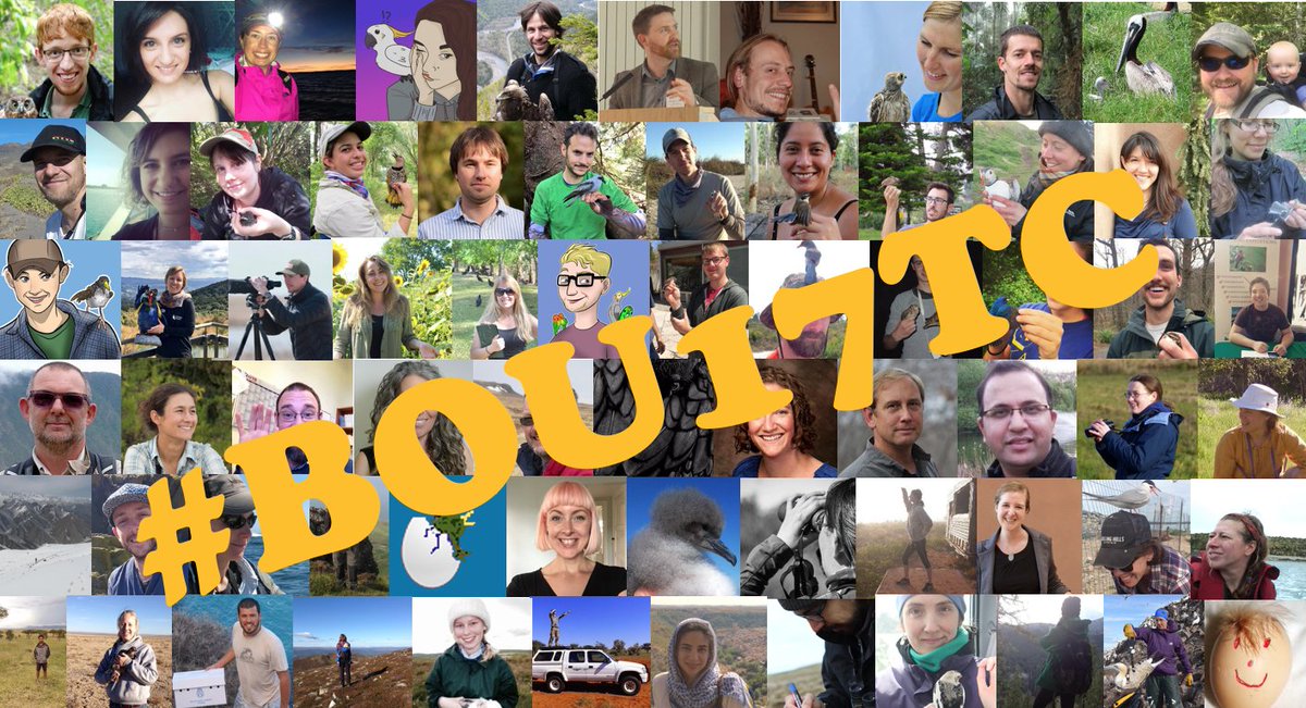 stevedudley_'s tweet image. FOLLOW! FOLLOW! FOLLOW! FOLLOW! FOLLOW! FOLLOW!

#BOU17TC is the must follow event of the week! Over 60 #ornithology tweeps presenting their research from around the world. Do not miss it!
