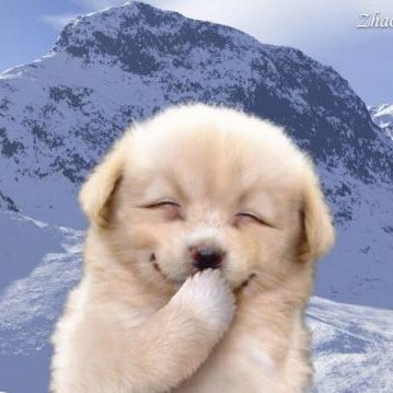 voicemail_vm's tweet image. 지미니 아기댕댕이지ㅠㅜ