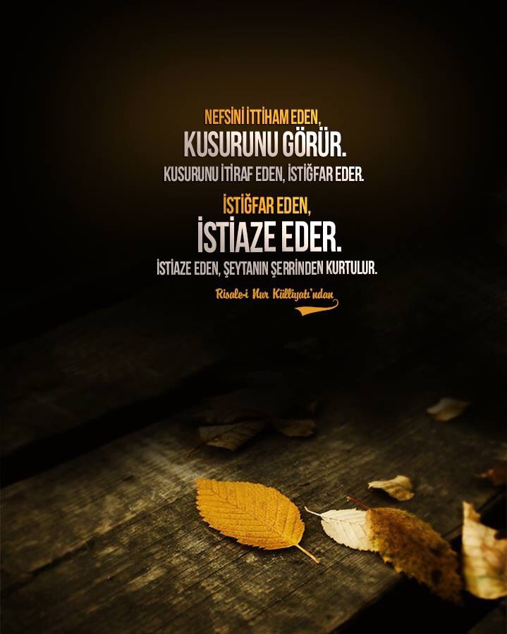 Jinsiy qoramagizlarning katta dumbalarining fotosuratlari