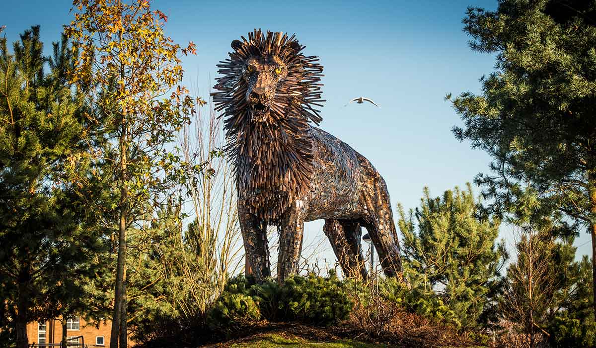 _richardkirk's tweet photo. Connswater Community Greenway is up for a UK award and is currently in 4th place. Aslan 🦁needs your vote by Fri 1 Dec!  https://t.co/QIUlX4k2aq https://t.co/HHYGOa1MUr