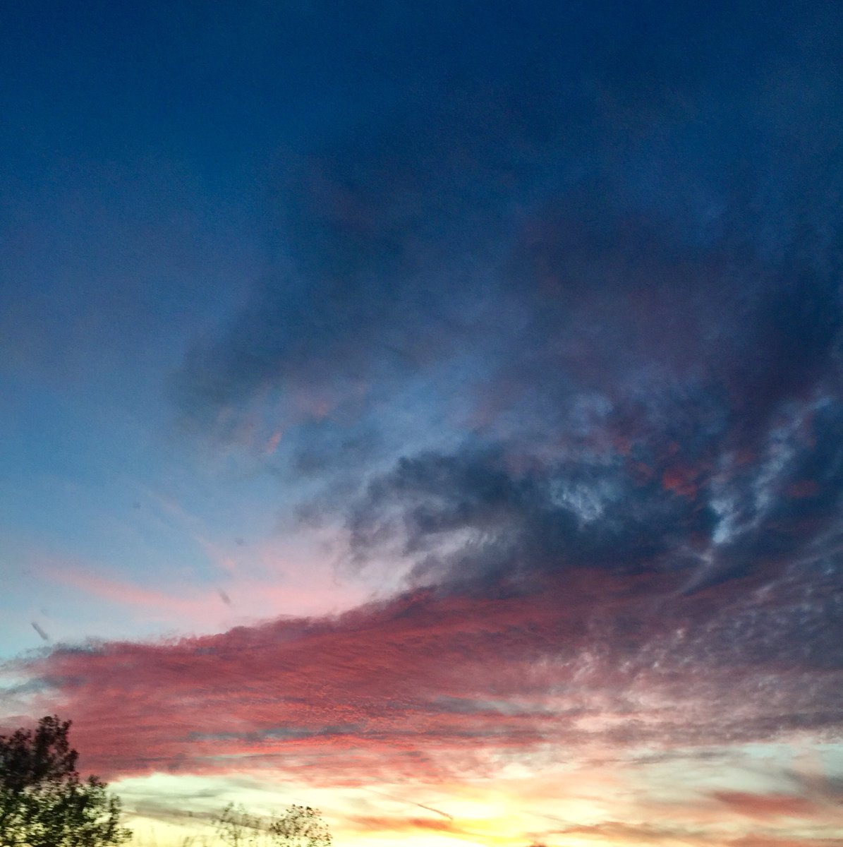 JulieMooreDunn1's tweet photo. Sunset. London,AR  @kark4 https://t.co/cbo9qUzPuU