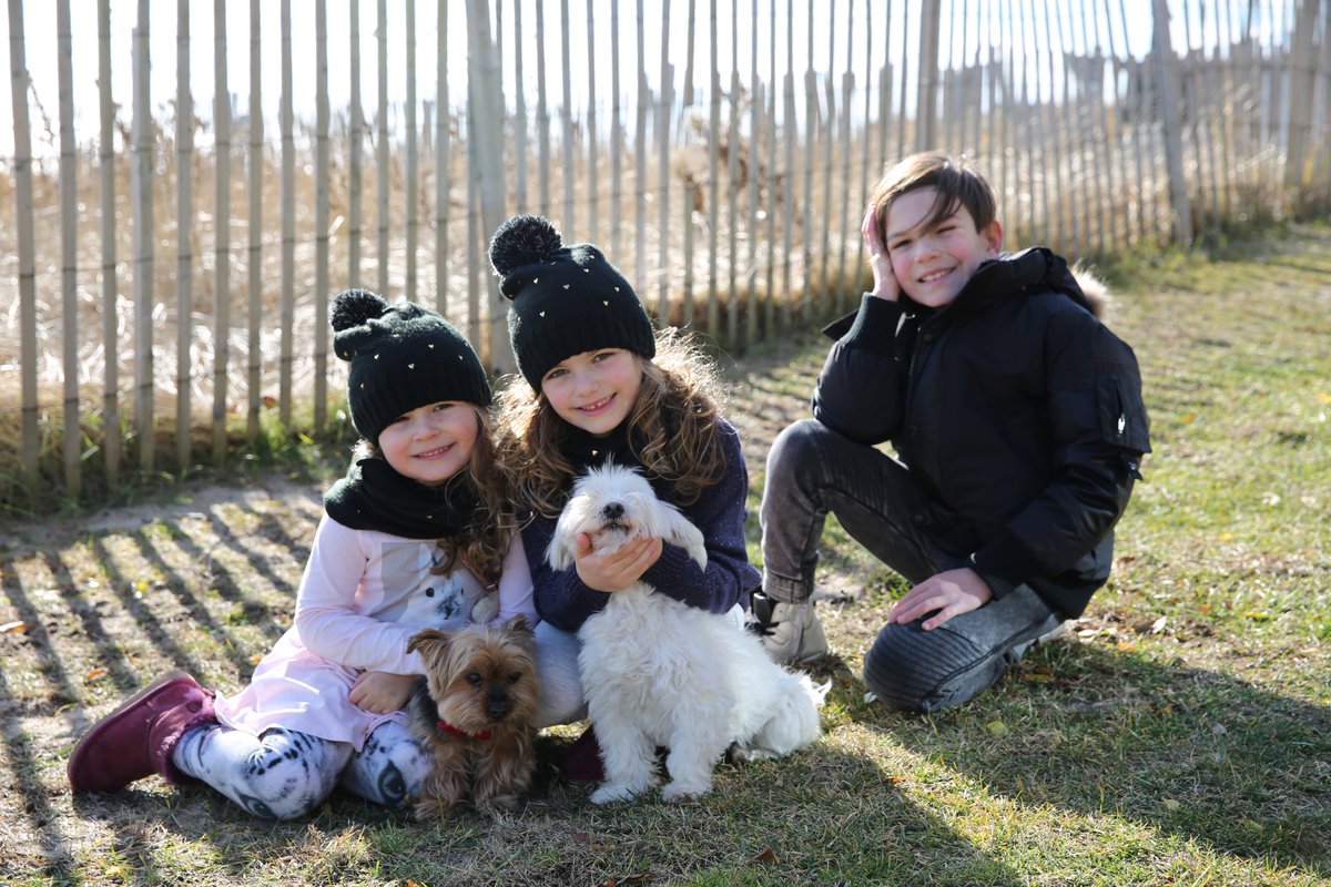 strollerincity's tweet image. Zappos.com teamed up with North Shore Animal League America to help you find your new furry friend! They will be covering adoption costs at pre-selected shelters.
Find your shelter and more info at zps.to/bOzixEJ9 #Pawlidayz #ZapposforPets #Zappos