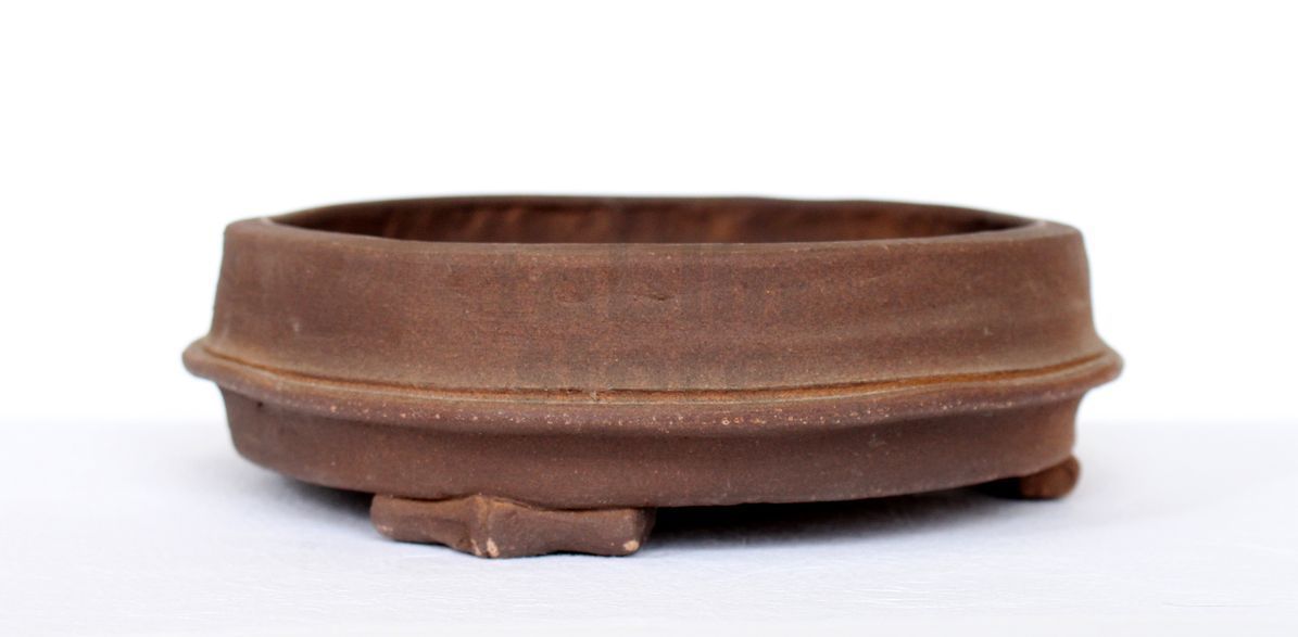 wikibonsai's tweet photo. #Tokoname #Bonsai #POT #Garden #Tree #Japanese #Pottery #Izumiya #Marute take #W15cm - https://t.co/x088zSkigP  #Juniper #JuniperusBrevifolia #JuniperusPhoenicea https://t.co/1dZNlMIvVJ