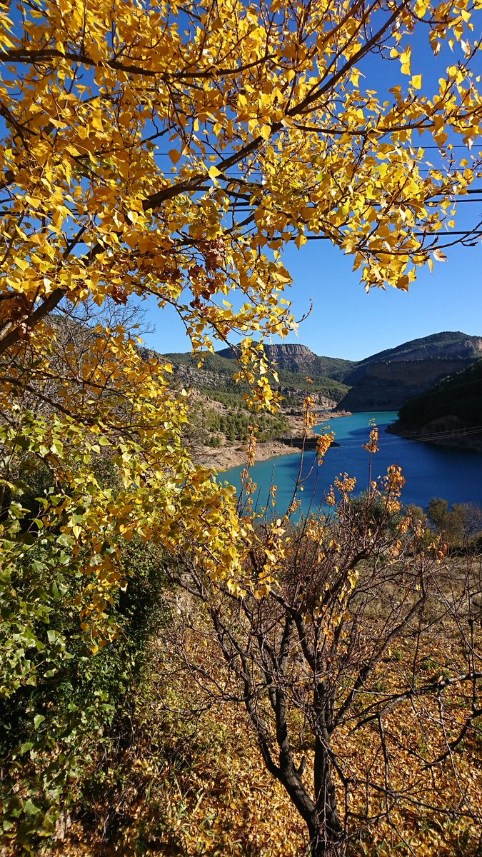 Colores de #otoño con temperaturas de #invierno en #puebladearenoso