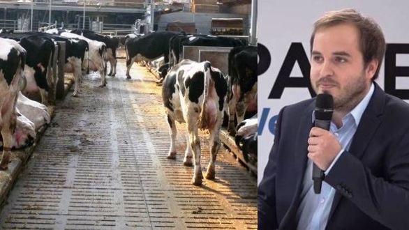 InstitutElevage's tweet photo. [Space TV] François Gervais de l'@institutelevage #Stabulation #vaches #laitières : Combiner plusieurs types de #sol pour une meilleure santé des pattes https://t.co/5Rx4CAMB4I https://t.co/lnrOuQVuAg