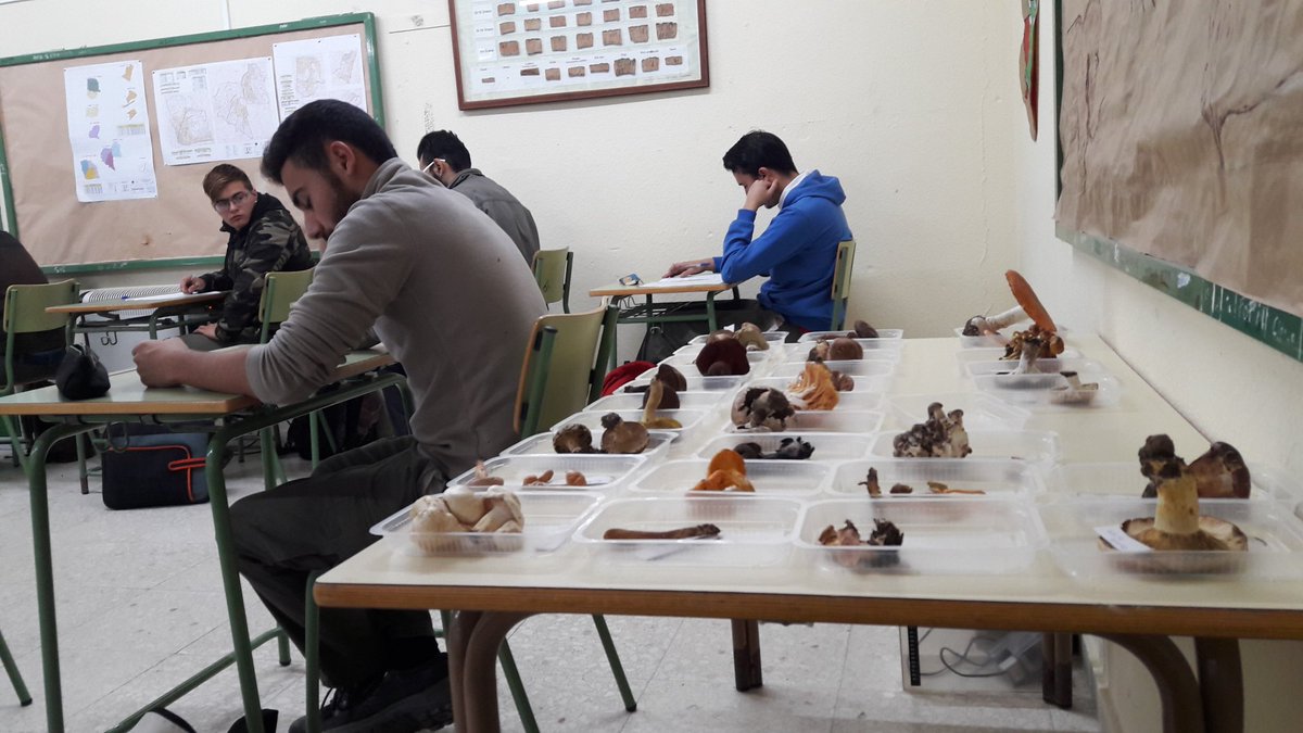 cicloforestal's tweet photo. Hoy taller sobre identificación  de setas con materiales cedidos por asociación  SAEPO. Gracias. #AndaluciaAMAyA https://t.co/L5Ssc3pmZI