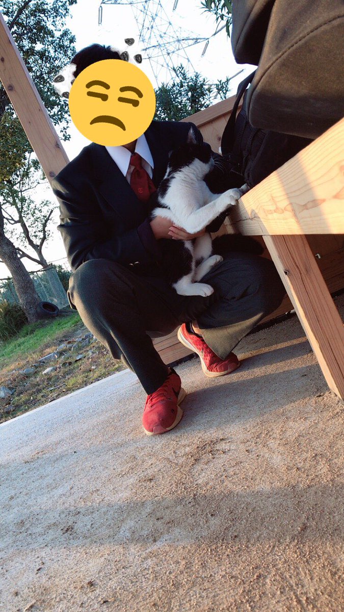 Y0009_'s tweet photo. 播工に猫おったよー https://t.co/3PQbukeC86