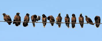 The time to toddle over to <a href="/cascaidr/">CASCAIDr CIC</a> has come, folks. Following directly is critical for getting donations in for our launch campaign, and we can't make waves in adult social care and health law, unless we have enough money for the first couple of months of advice work. Thanks, B