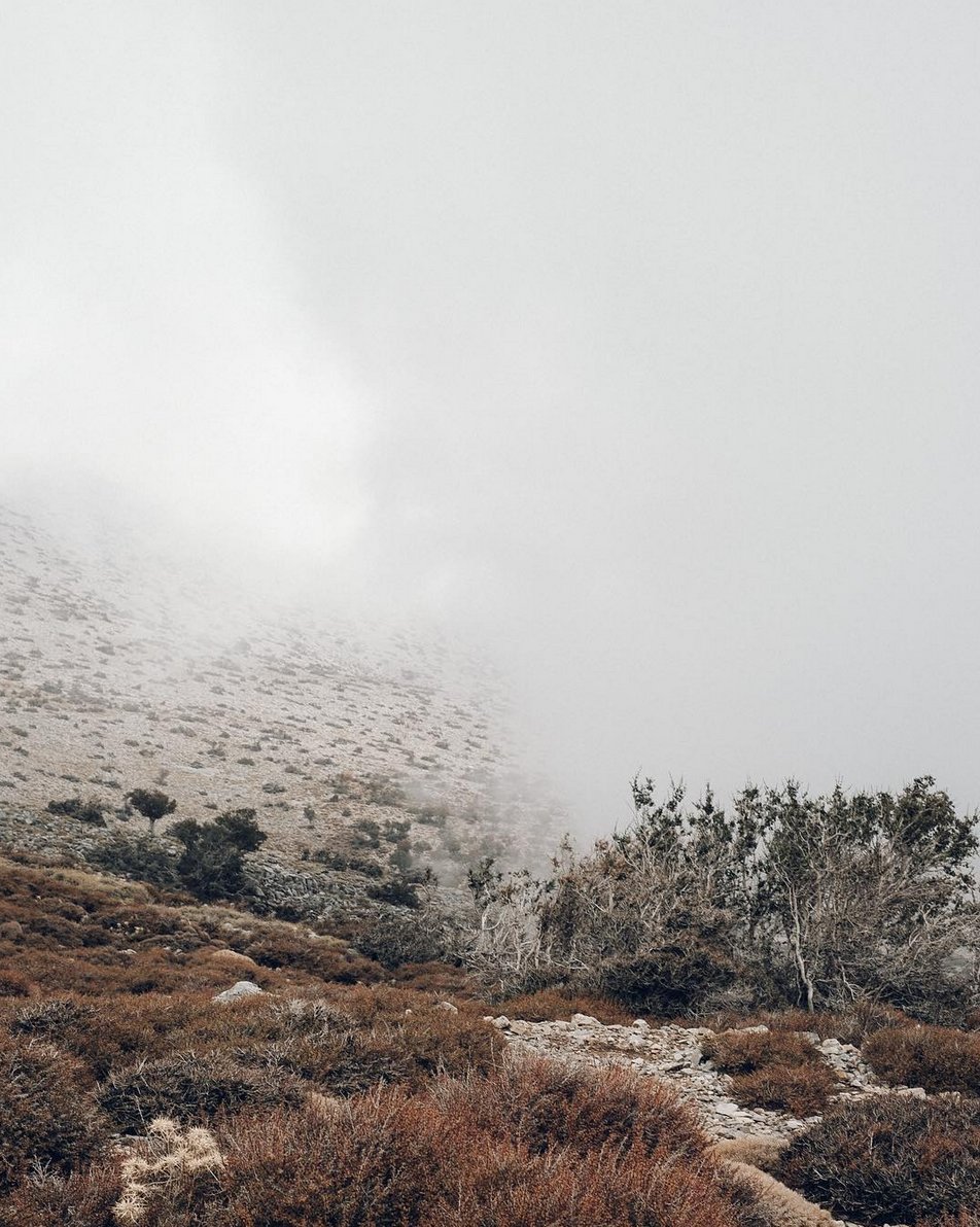 shepherdbones's tweet photo. #Moody is beautiful. Here in #Crete, fog &amp; rain comes in small healthy doses to replenish the abundant #mountain soil and to bring a bit of magic. We do worship the sun… but we don't mind that feeling of being inside a cloud sometimes. #wanderlust #Misty https://t.co/zLDft4uXfw