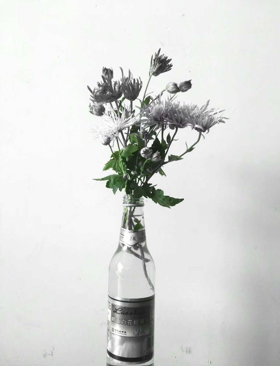 白花蛇草水hashtag 白花蛇草水hashtag