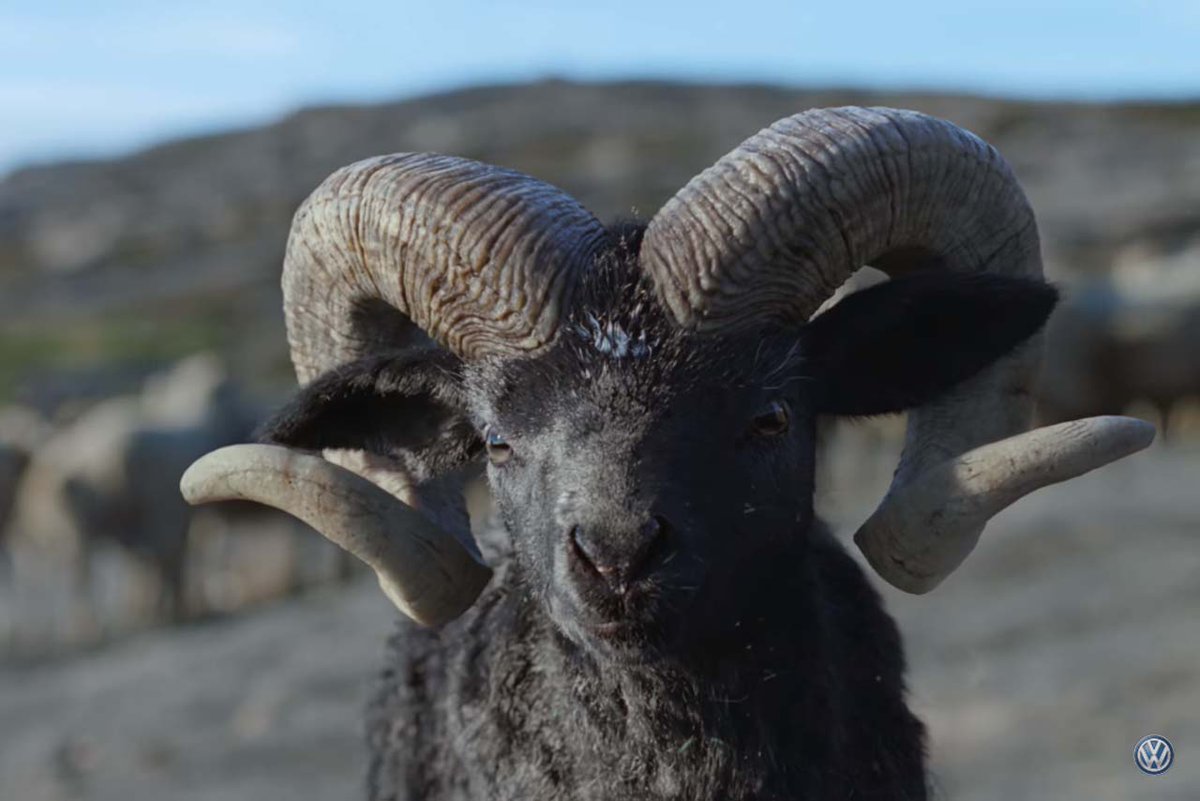 Jimmy K. tweet media