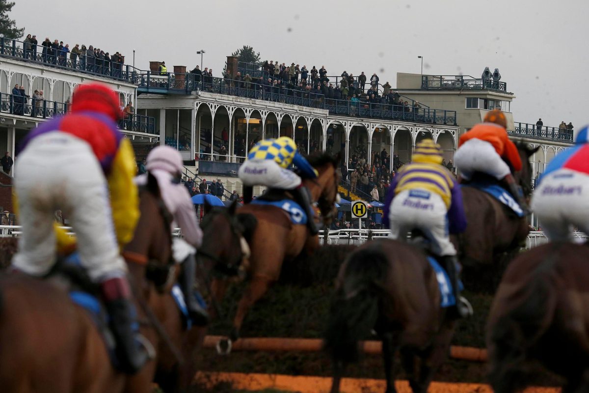 FreeRacingTips_'s tweet image. Today&apos;s NAP Tip Is - Dentley De Mee In The 14.45 At Ludlow (3.25) dld.bz/FreeRacingTips