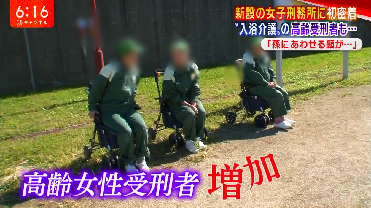 ç»å