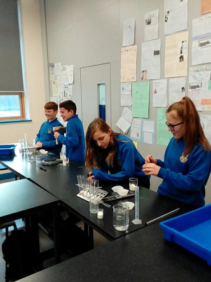 SciMaes's tweet photo. Year 8 working on their Microbes Investigation @SciMaes #year8maes https://t.co/8tMK9u0ftq