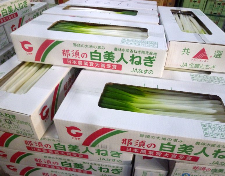 豊洲市場ドットコム على تويتر 毎日やっちゃばで沢山の葱を見かけます Jaなすの から届いた那須の 白美人ねぎ 地域ブランドに認定されており 市場関係者からの評価も高いお葱さんです 生で食べても美味しいらしく 辛みがそんなにないんだそう 緑色と白色の 豊洲市場ドットコム على تويتر 毎日やっちゃばで沢山の葱を見かけます Jaなすの から届いた那須の 白美人ねぎ 地域ブランドに認定されており 市場関係者からの評価も高いお葱さんです 生で食べても美味しいらしく 辛みがそんなにないんだそう 緑色と白色の
