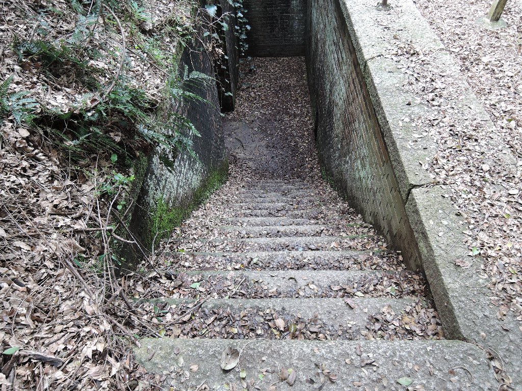 なん だ この 階段 は