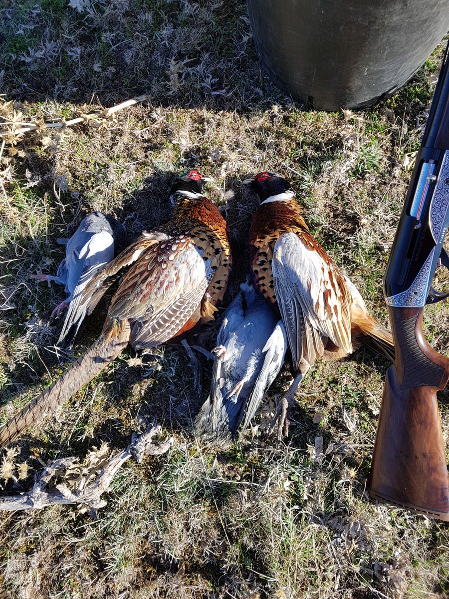 Buen fin de semana hemos pasado. Ánimo con la semana. AhoraCazo.com