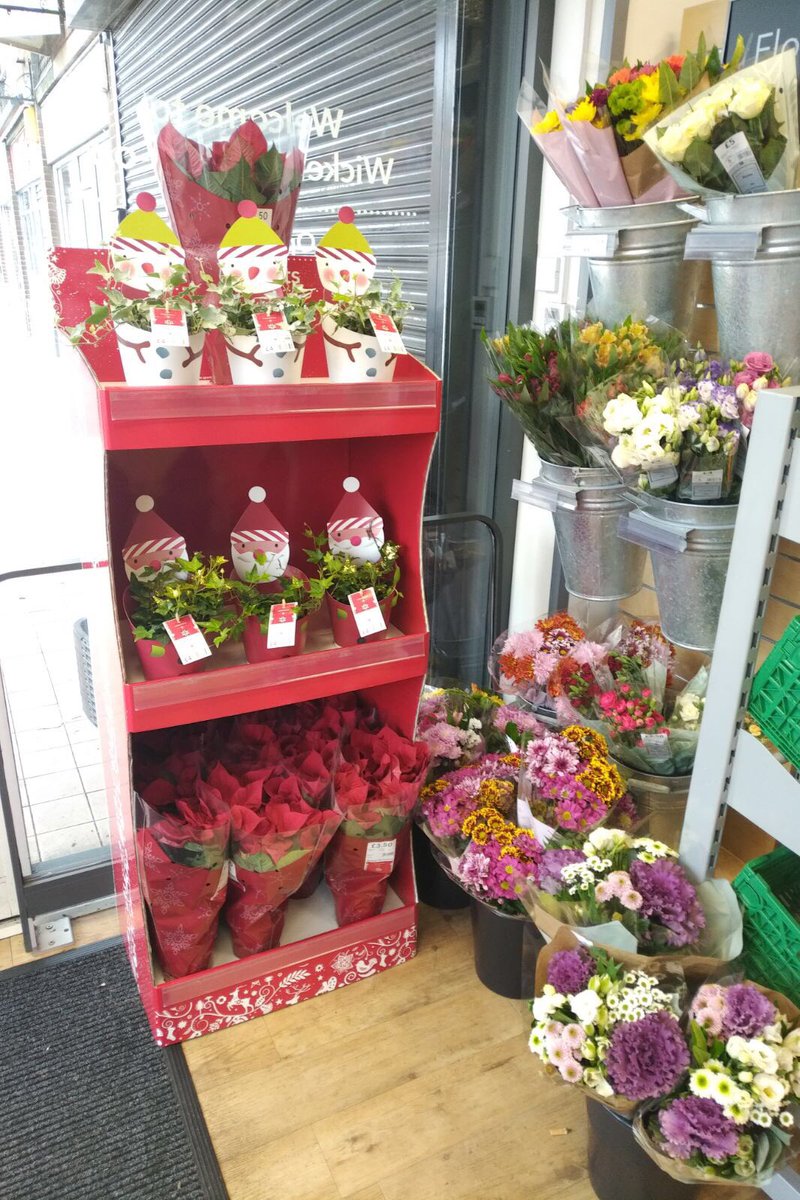 CoopWickersley's tweet photo. Brighten up your home with our lovely selection of Christmas flowers. https://t.co/atLcyBBqtV