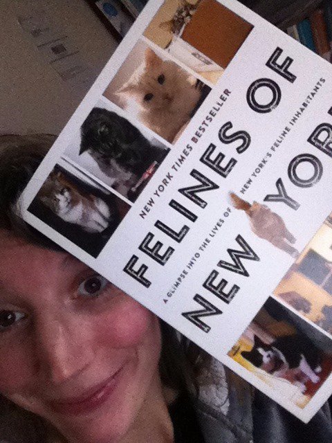 aschrt's tweet photo. Game on, @jimtews cc @MCSnugz #cats #bestseller #FelinesOfNewYork https://t.co/NzVIFOZr8k
