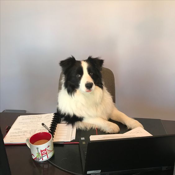 Monday morning vibes....#OfficeLife