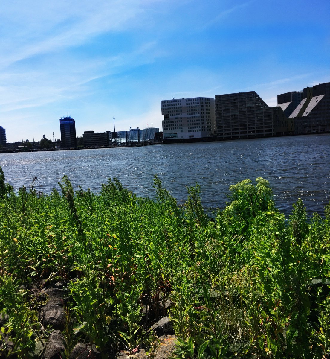 cases2goUK's tweet photo. weekend relaxation

#nature #sky #sun #summer #beach #beautiful #pretty #sunset #sunrise #blue #flowers #night #tree #twilight #clouds #beauty #light #view #photooftheday #green #mothernature https://t.co/Sqh4p1VJE4